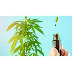 ¿Qué es el CBD y para qué se usa? Efectos, Beneficios y legalidad