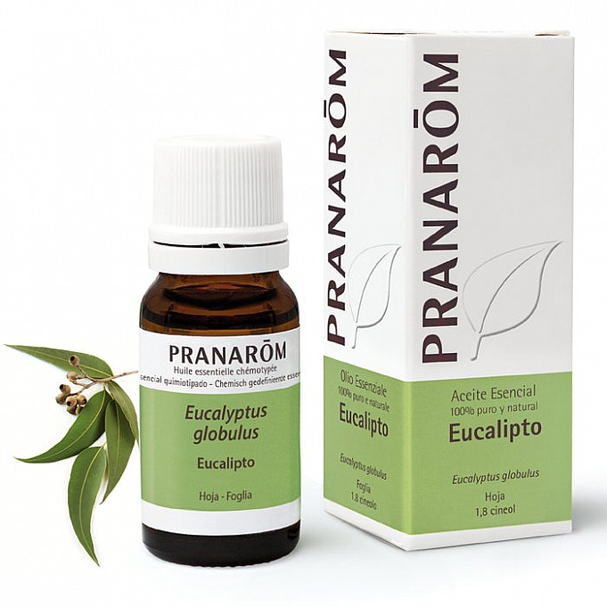 Pranarom Eucalyptus Globulus 10 ml Eucalipto