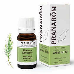 Pranarom árbol te 10 ml